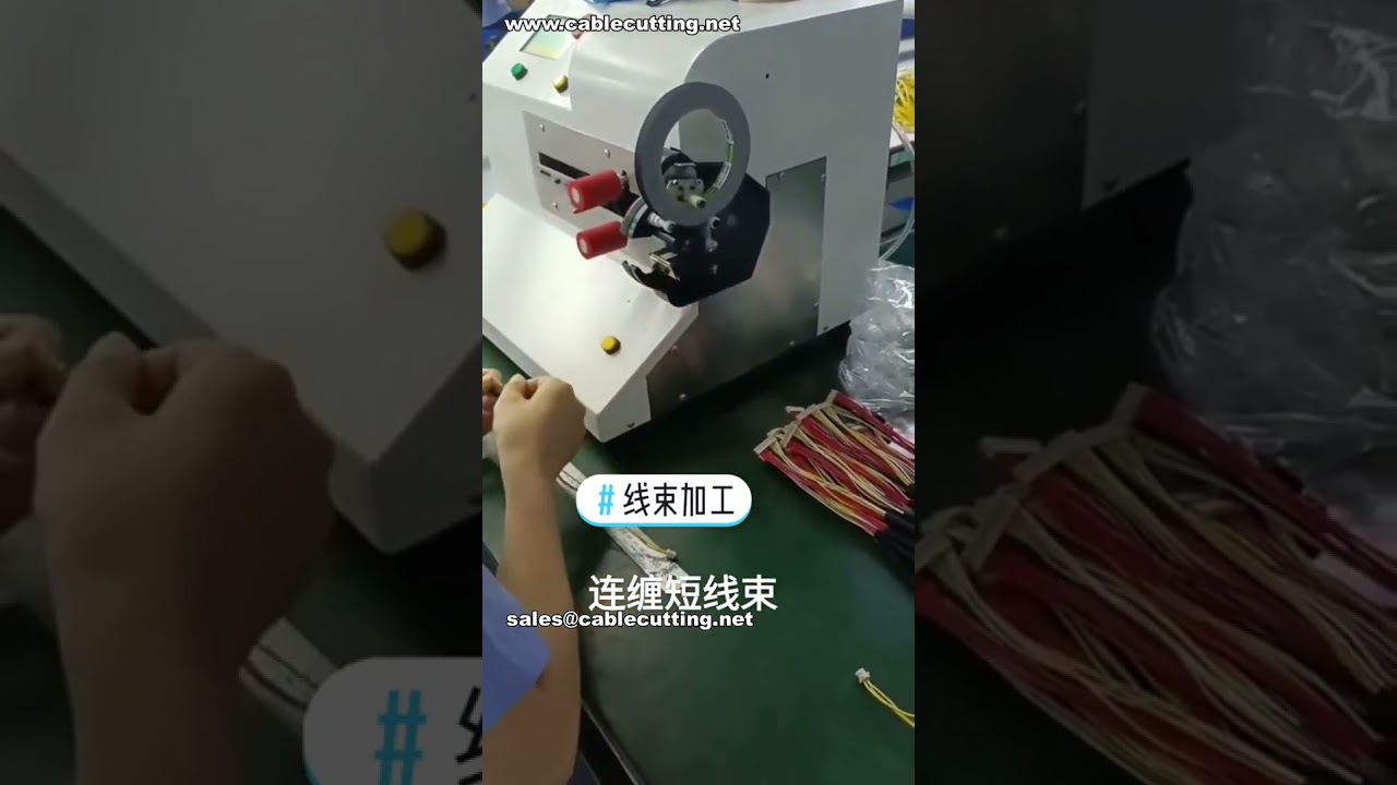 連續封箱機｜分段纏繞功能｜工廠實拍