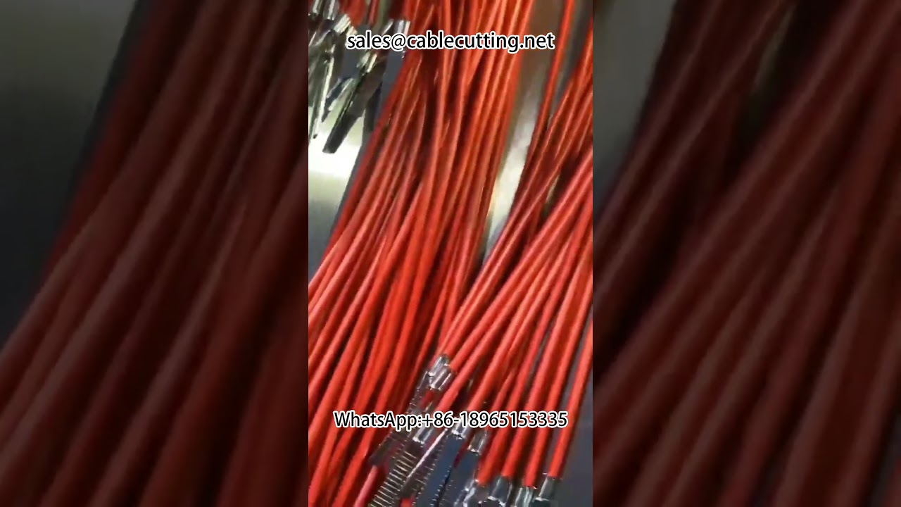 自動雙頭端子機｜單穿防水塞剝線機 #端子機