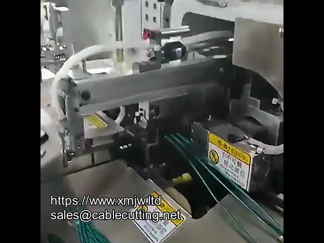 雙頭沾錫機｜全自動10線裁切剝線扭線沾錫一體機